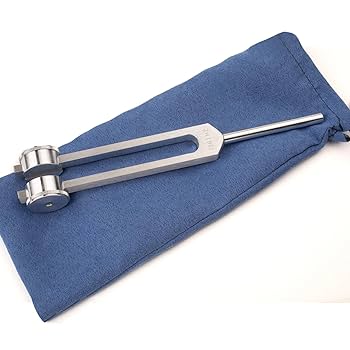 Amazon | Om Tuning Fork with Bag By Omnivos Therapeutics by