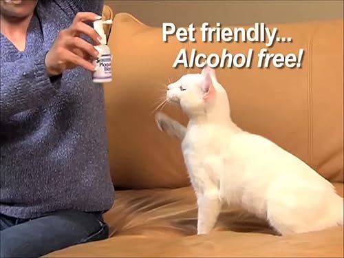 Miniatura 4 de Explosión de placa del Dr. George