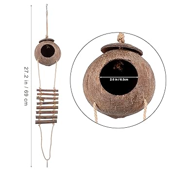 Amazon | LEDMOMO 爬虫類 シェルター 爬虫類 隠れ家 ゲッコー