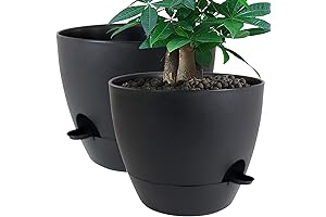 12-inch Extra Large Self Watering Planters