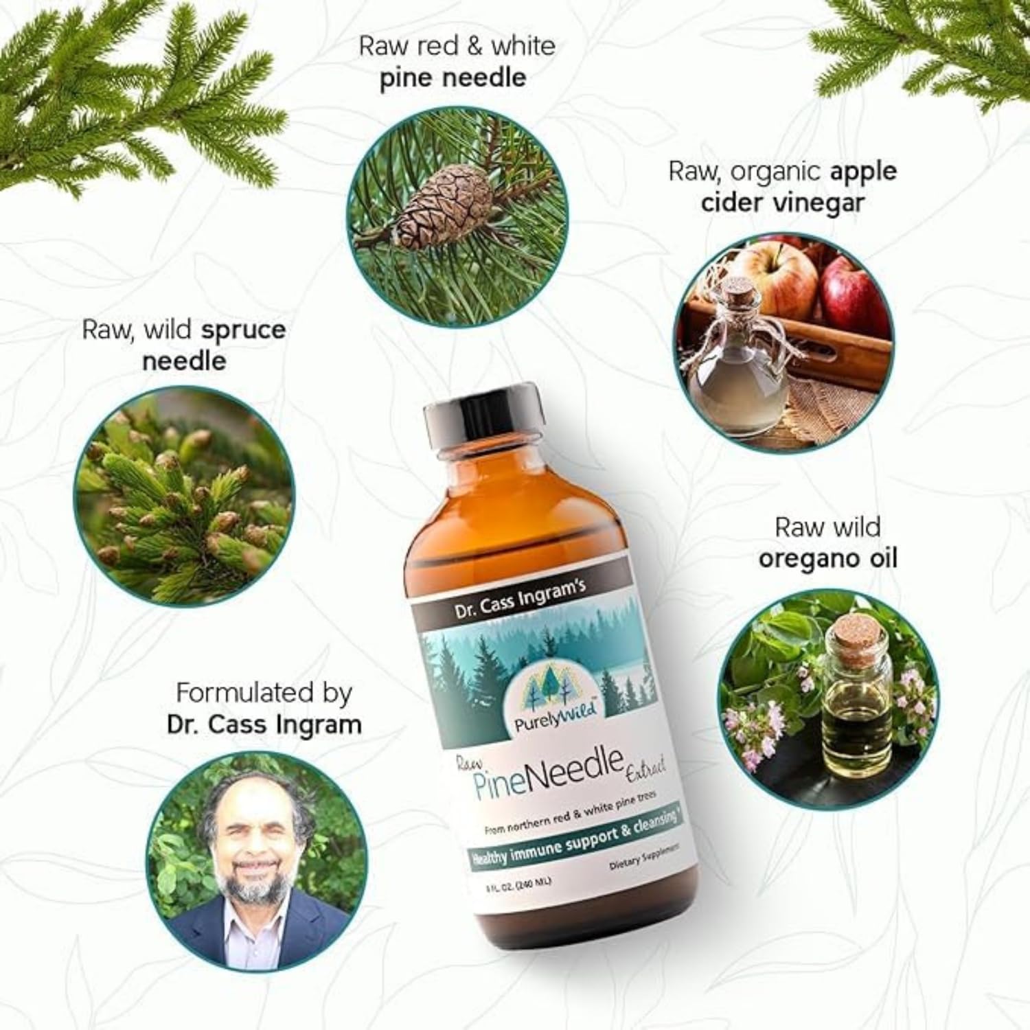 PURELY WILD Raw Pine Needle Extract by Dr Cass Ingram - Whole Food Liquid Supplement that Contains Pine and Spruce Extracts, Oregano Oil & Apple Cider Vinegar - Best for Immune Support - 8 fl oz