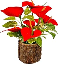 Dekorly Artificial Sunflowers, Rose, Anthurium Fake Flowers Potted Artificial Plants Decorative Artificial Flowers Indoors for Home Office | Natural Wooden Pot (Anthurium, Height : 18CM)