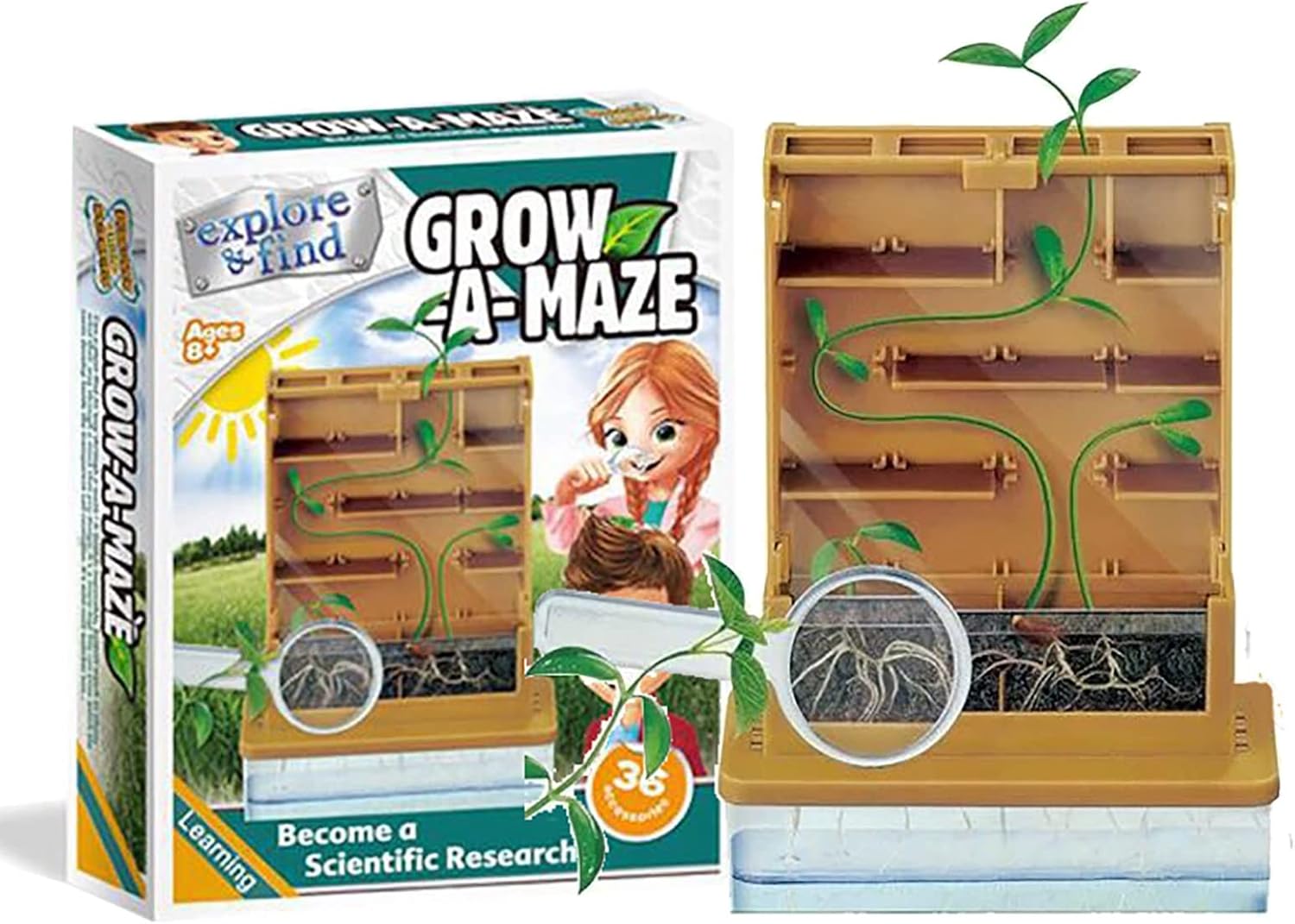 AoForce Children's Seed Planting Growing Toys, Plant Maze