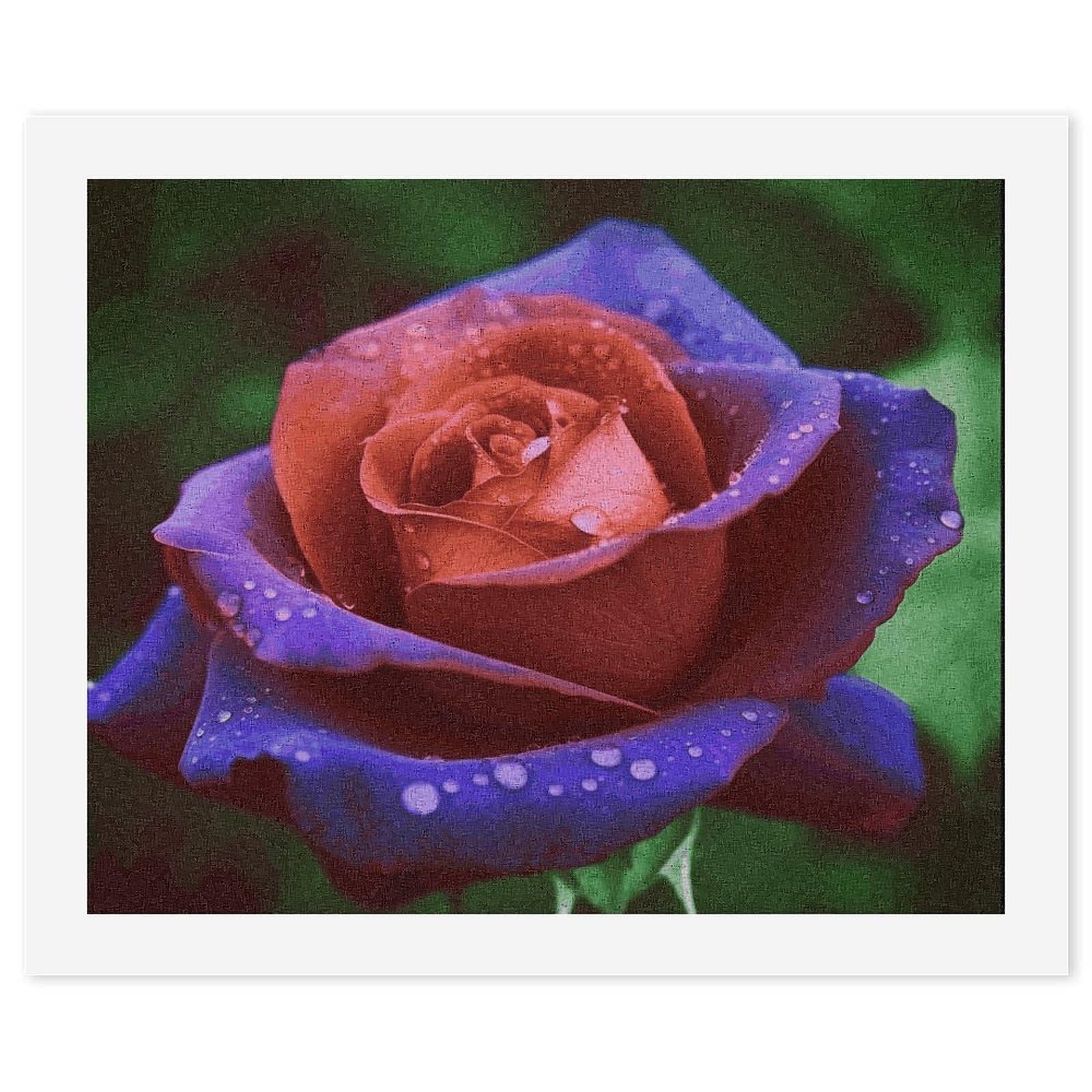 MUSM DIY Digital Painting Rose Paint by Numbers Kit for Adults Canvas Digital Oil Painting Kit for Beginners Easy Paintings by Numbers for Home Wall Decoration