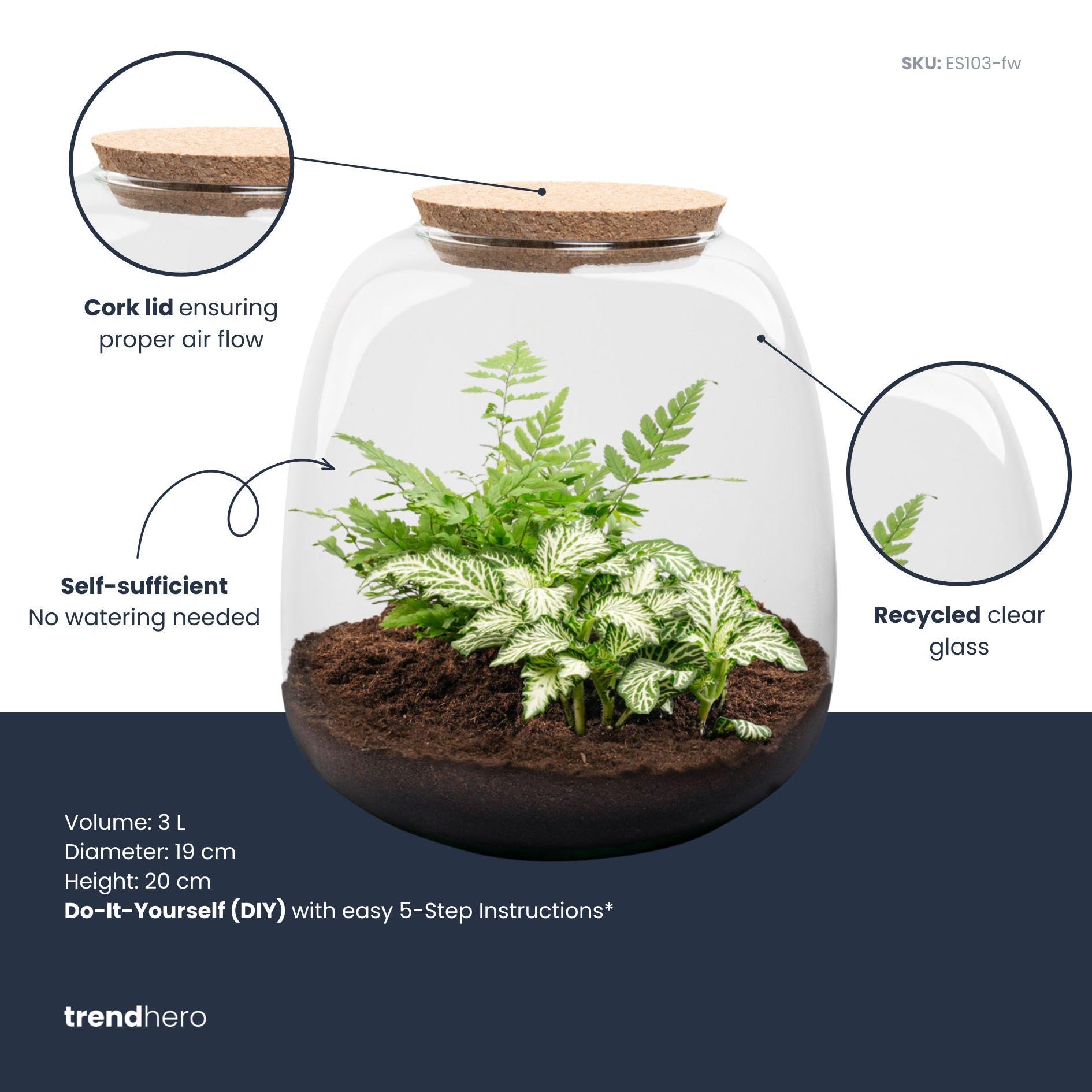 Terrario de Plantas de Cristal, Kit DIY de Interior, Verde, 20x19 cm