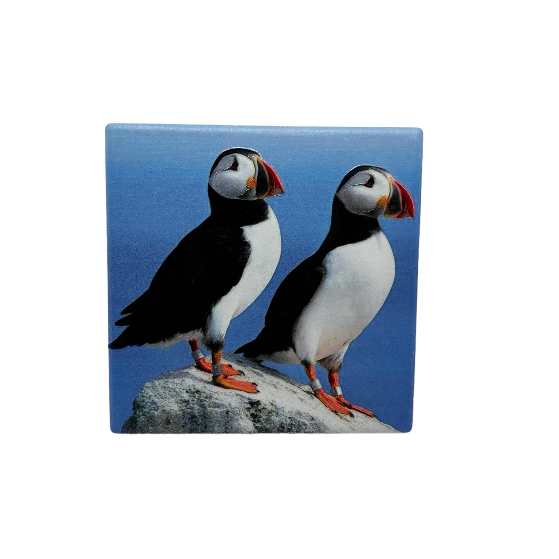 Milford Collection Ceramic Art Coaster 10x10cm Puffin Design – Cork Backed Non-Slip Drink Coaster Table Mat for Home Decor