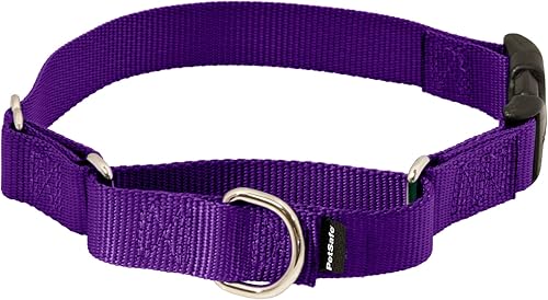 Collar de la martingala de PetSafe Petite con hebilla rápida instantánea, Púrpura profundo