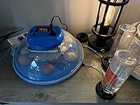 Review Image by Kevin Kevin