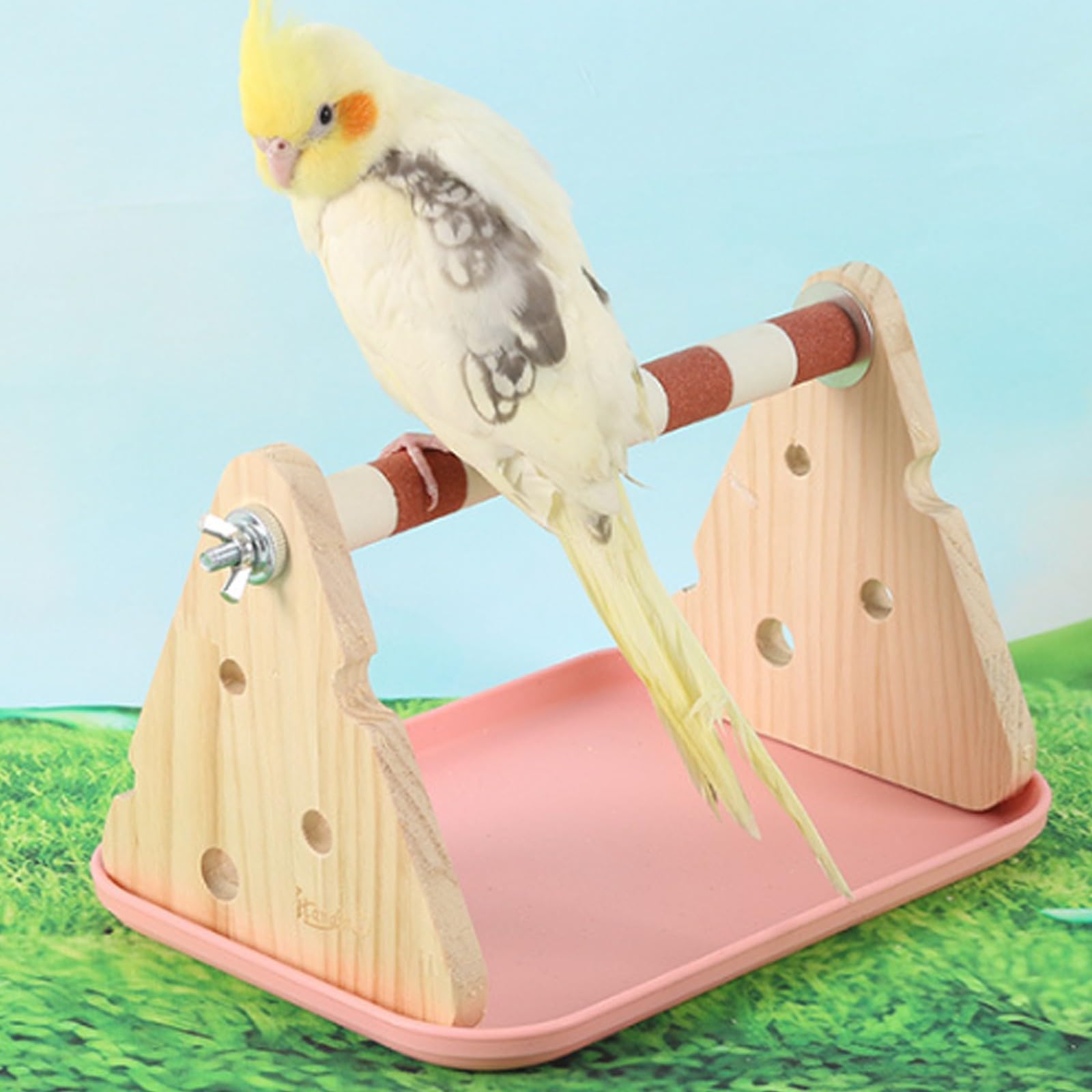 Soporte de madera natural para loros con base antideslizante para entretenimiento de pájaros, fácil movilidad, soporte para loros de madera natural