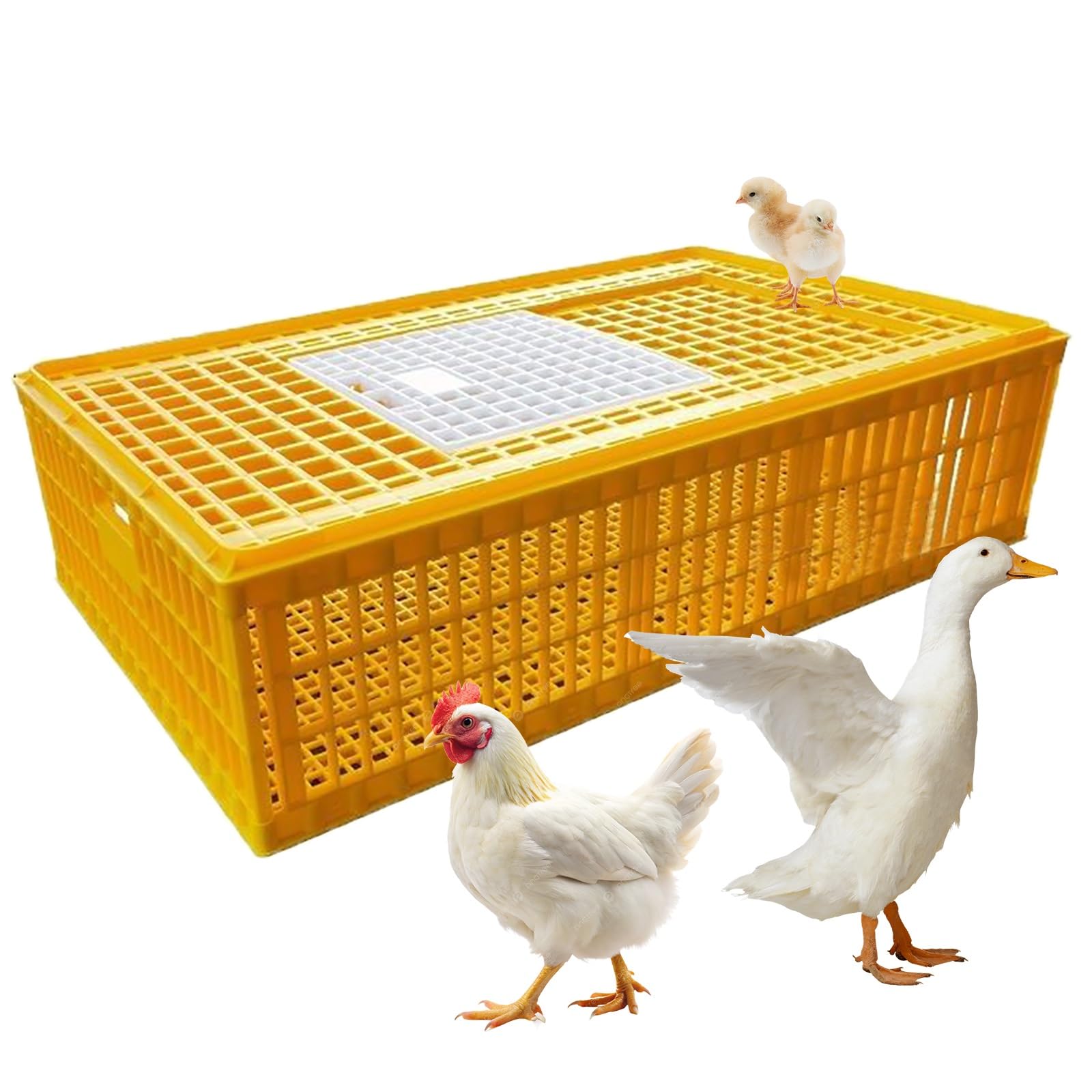 Jaula de transporte de pollos de plástico resistente, transportador de aves de corral extragrande para pollos, patos, gansos y pájaros