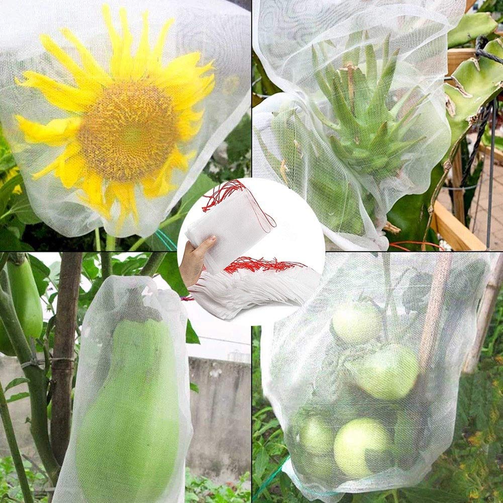 Bolsas de Malla Protectoras for Plantas, 50 Unidades, for Frutas y Verduras, Barrera contra plagas for árboles frutales y huertos (15 x 10 cm)(25x15cm)