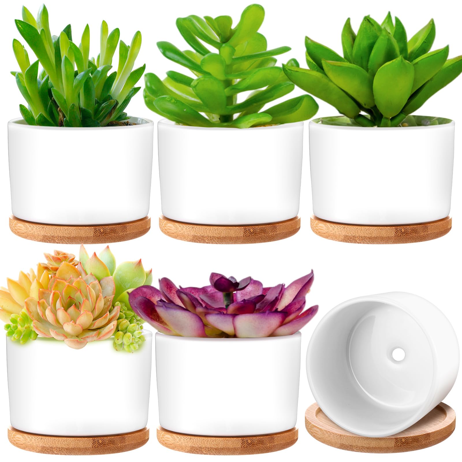 Pots de fleurs blancs pour décoration de table de bureau et salon moderne