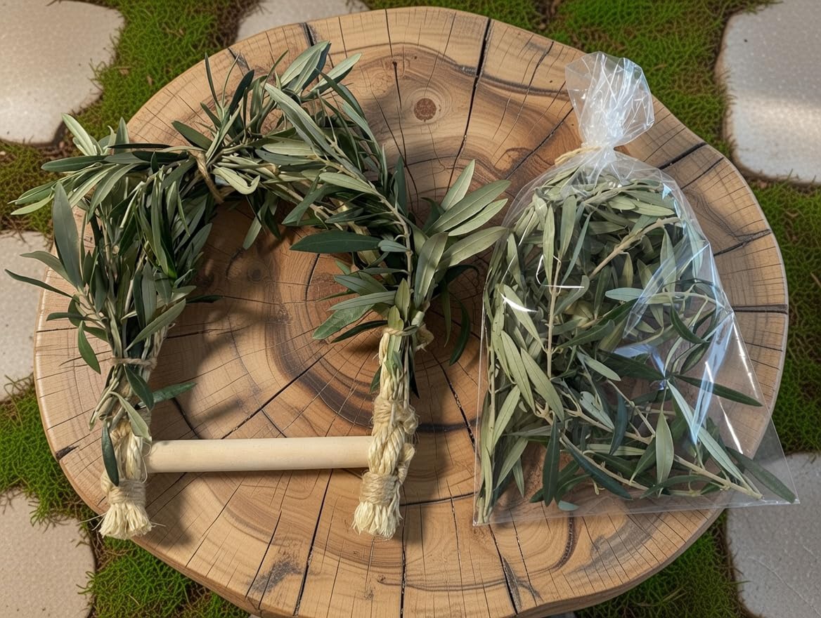 Columpio agapornis Cuerda de sisal Forrada en Olivo Fresco para Aves Exóticas Entretenimiento y descando Duradero Incluye Ramas de Olivo para Bandeja.Probado con agapornis Reales