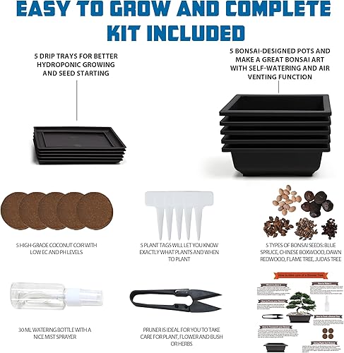 Miniatura 2 de Kit de inicio de bonsái, 5 semillas que crecen en abeto azul, boj chino, secuoya del amanecer, árbol de llama y árbol de Judas, incluye herramientas