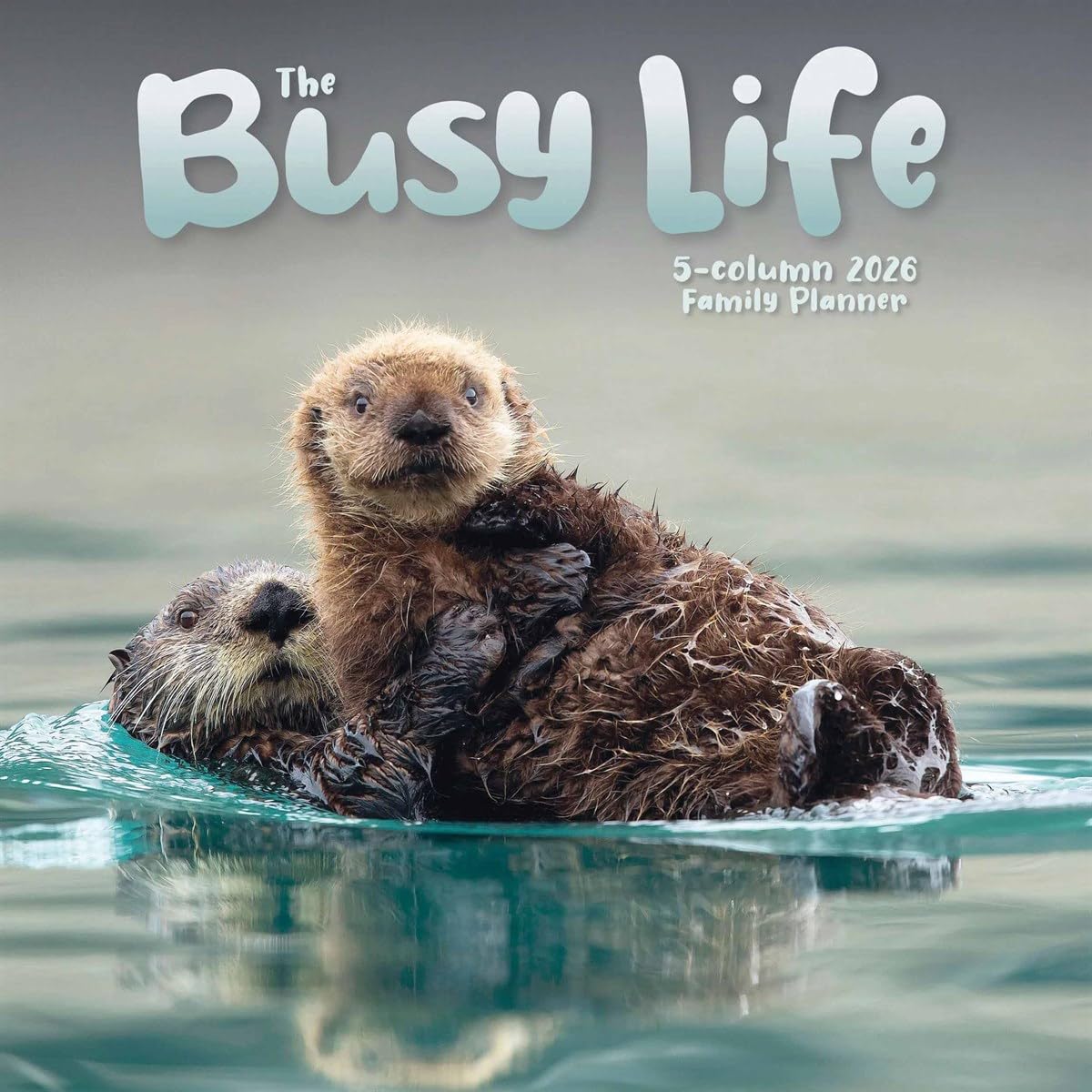 Carousel Worldwide, Busy Life 2026 Wall Planner