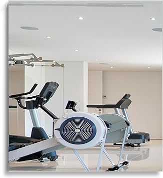 Dulles Glass Shatter-Resistant Home Gym Mirror 48" x 72" Wall Mount Kit Included Commercial Grade Safety Full-Length Exercise, Dance, Yoga & Martial Arts Mirror