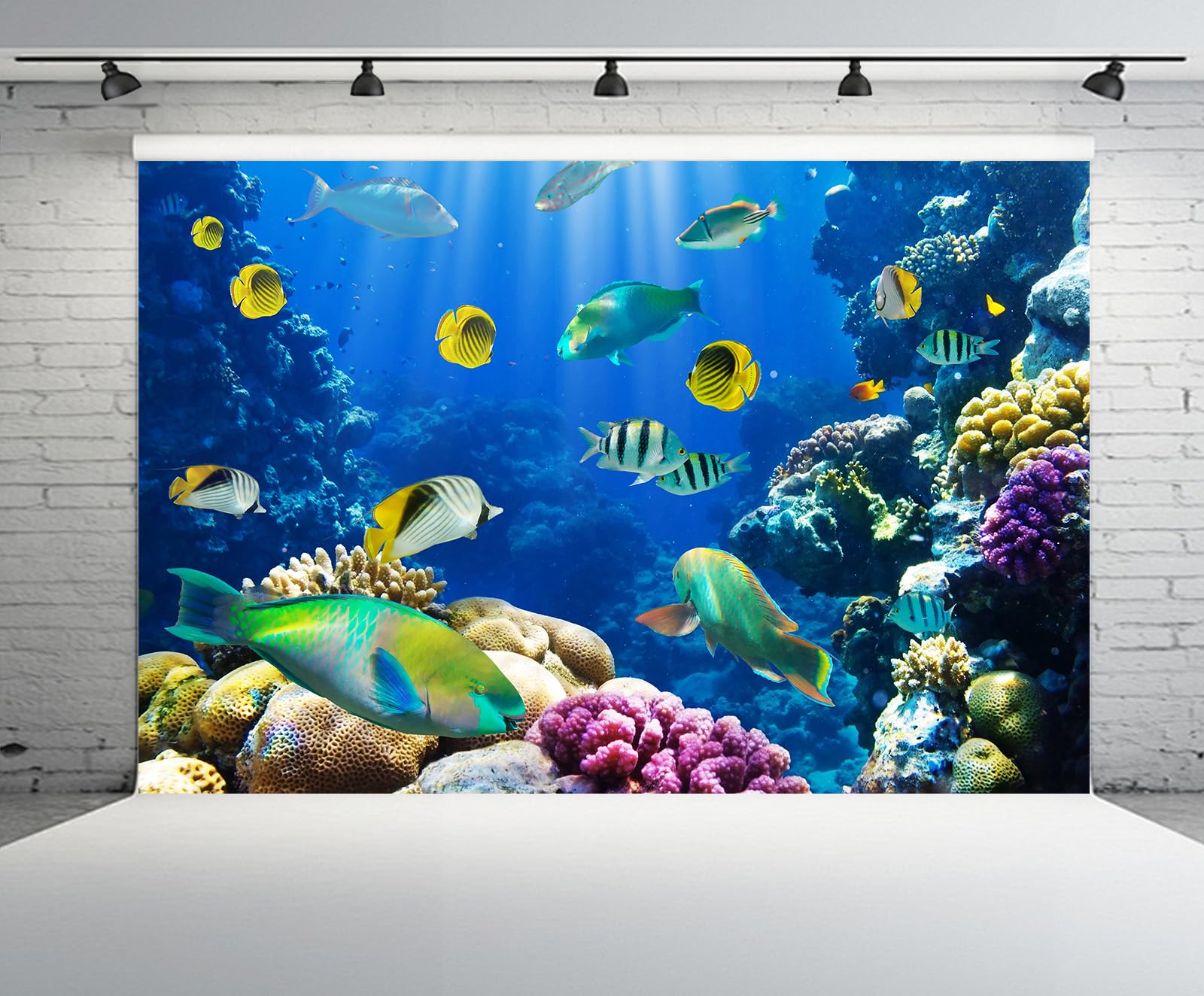 CHNYWORK 10ftx10ft Under The Sea Backdrop for Photography Aquarium Underwater World Tropical Fish Coral Reef Background Mermaid Theme Birthday Party Decorations Baby Shower Photo Props
