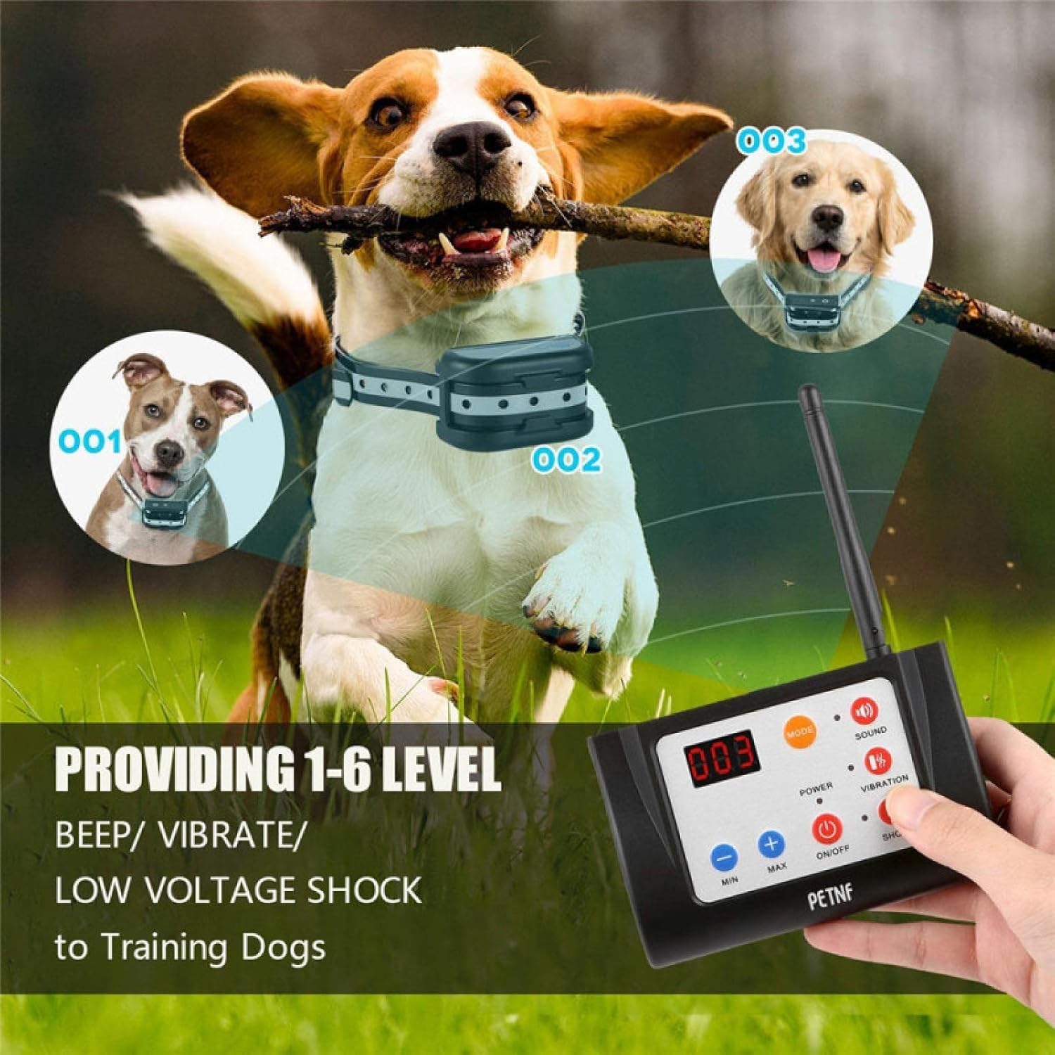 Clôture pour Chien sans Fil 2 en 1 avec Collier de Dressage Système de clôture électrique pour Animaux de Compagnie Rechargeable Convient pour l'intérieur et l'extérieur Convientpour2chiens