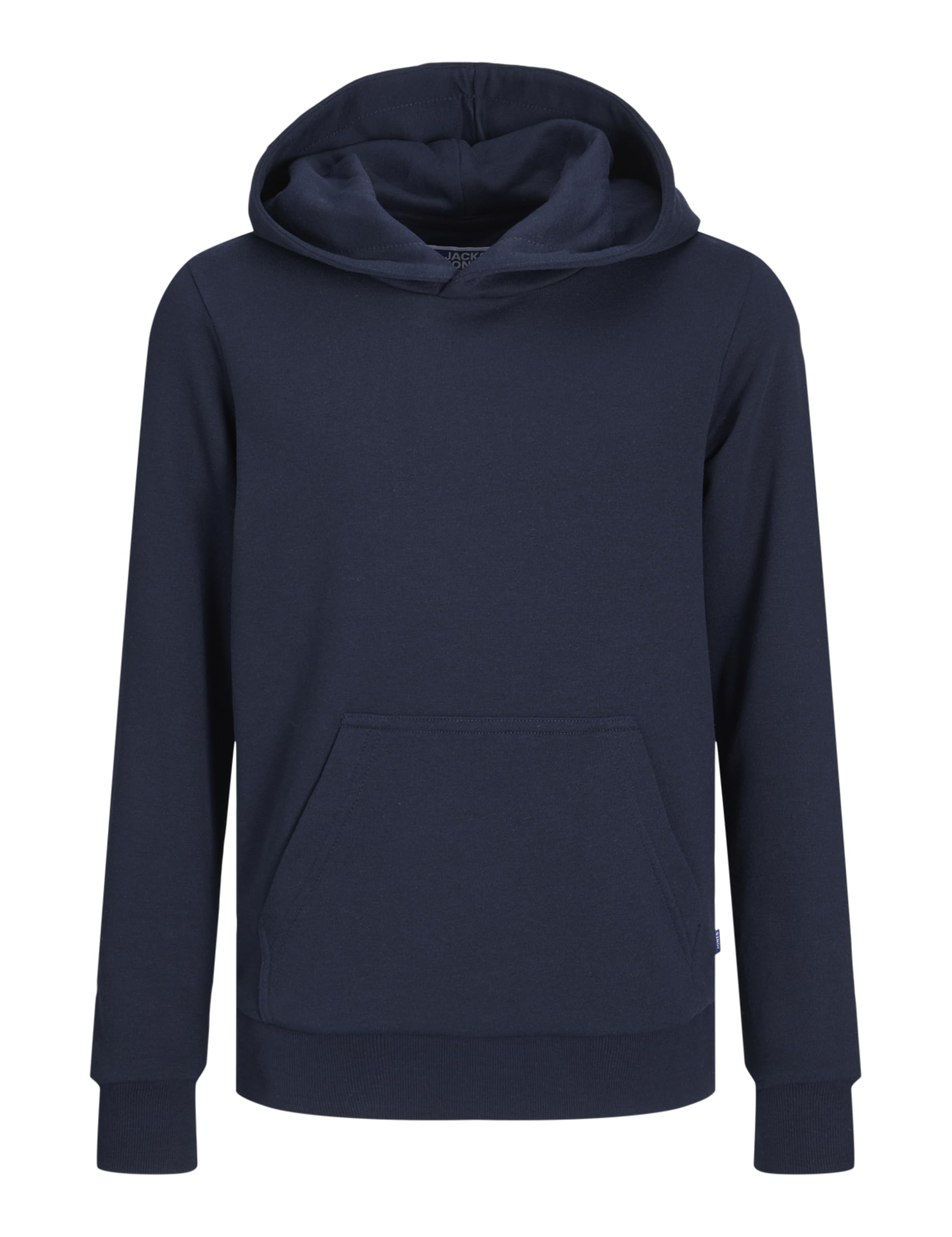 Jack & Jones Boys Bleu Child Hoodie Bradley