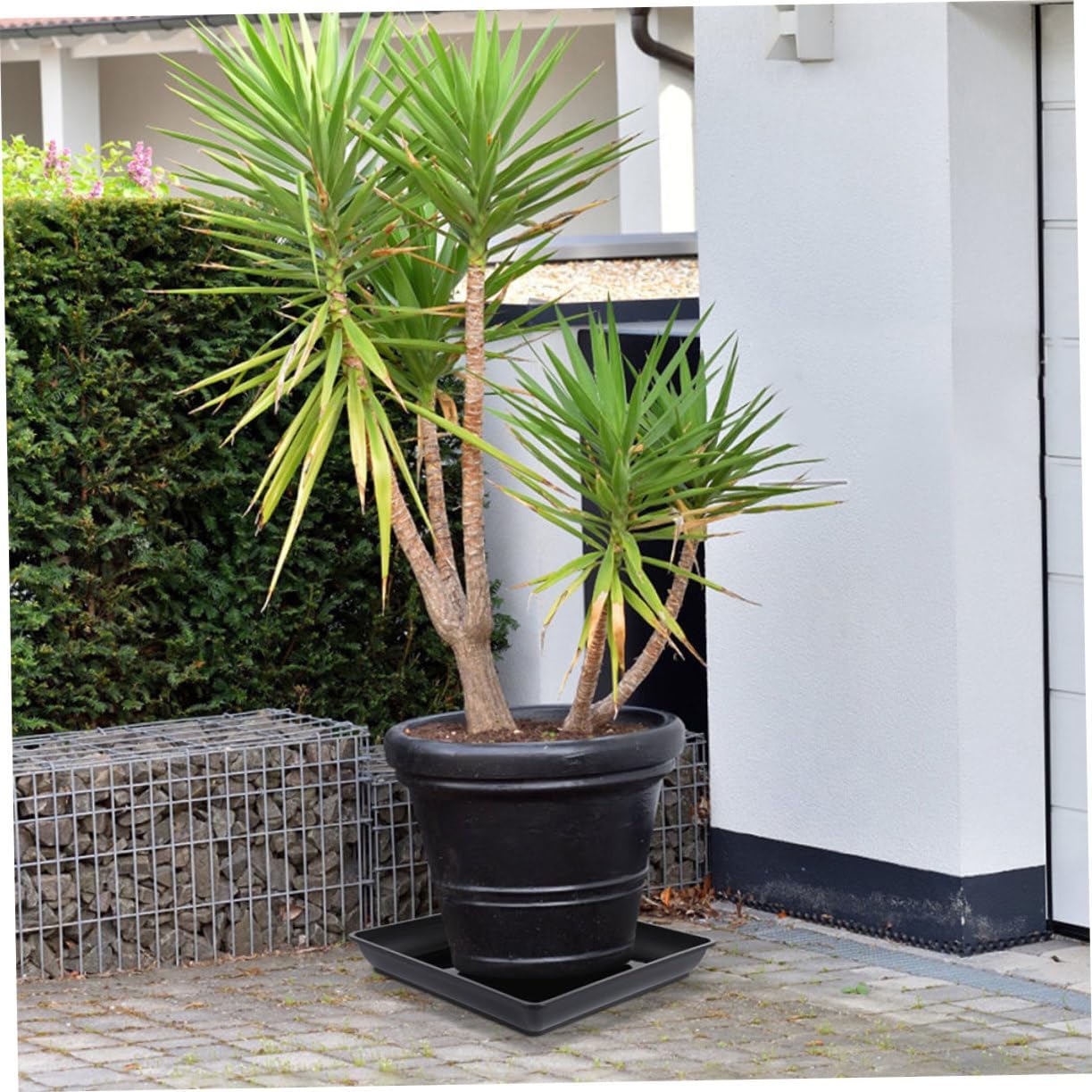 Yardwe 6pcs Square Plastic Plant Saucer Trays for Indoor and Outdoor Use Heavy Duty Drip Catcher for Water Management Garden and Balcony Pots Black Color