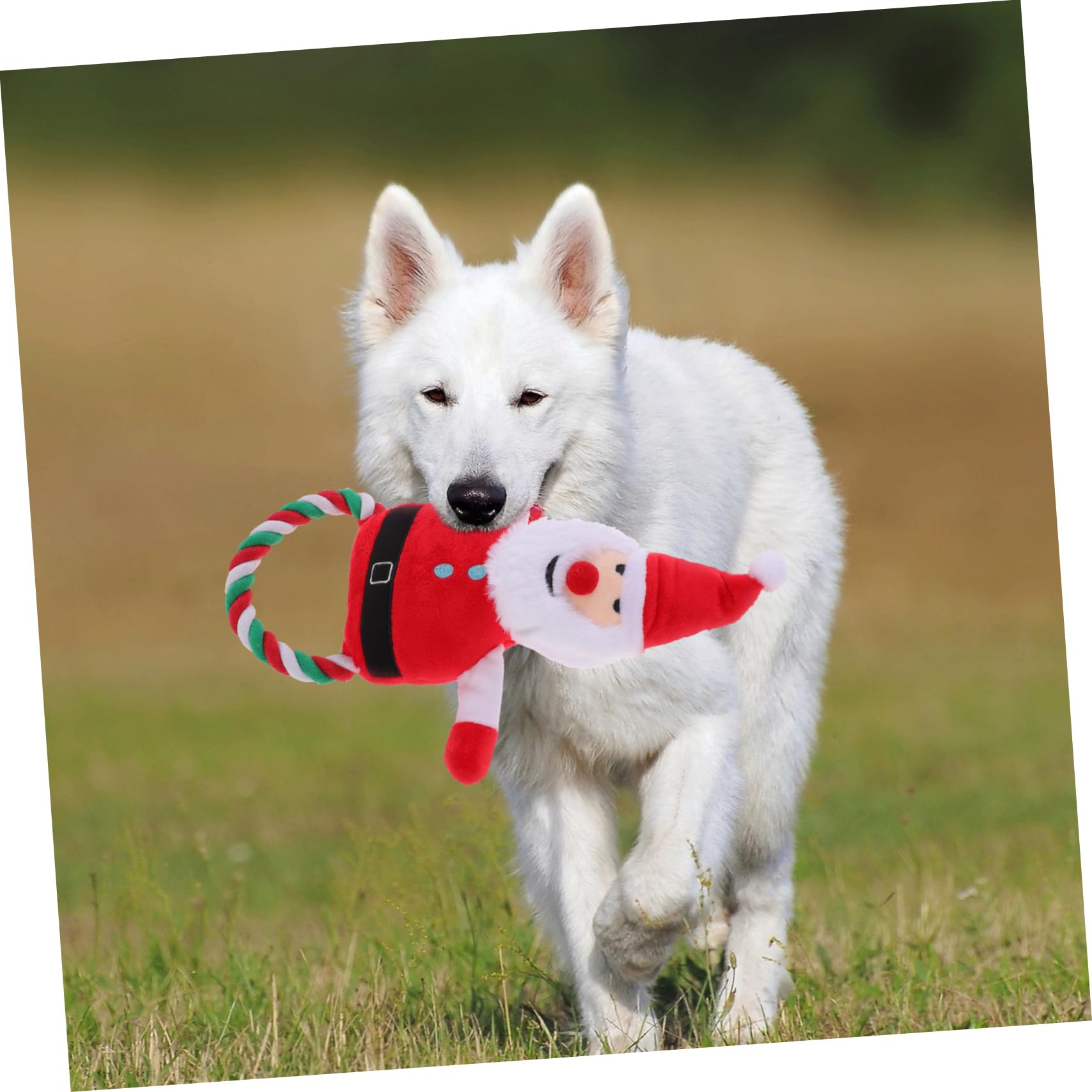 HANABASS 5stücke Pet Spielzeug Weihnachtsmann Quietschend Kauspielzeug Für Hunde Langlebiges Plüschspielzeug Kauverhaltens Bekämpfung Von Langeweile Für Und Kleine Mittelgroße Hunde