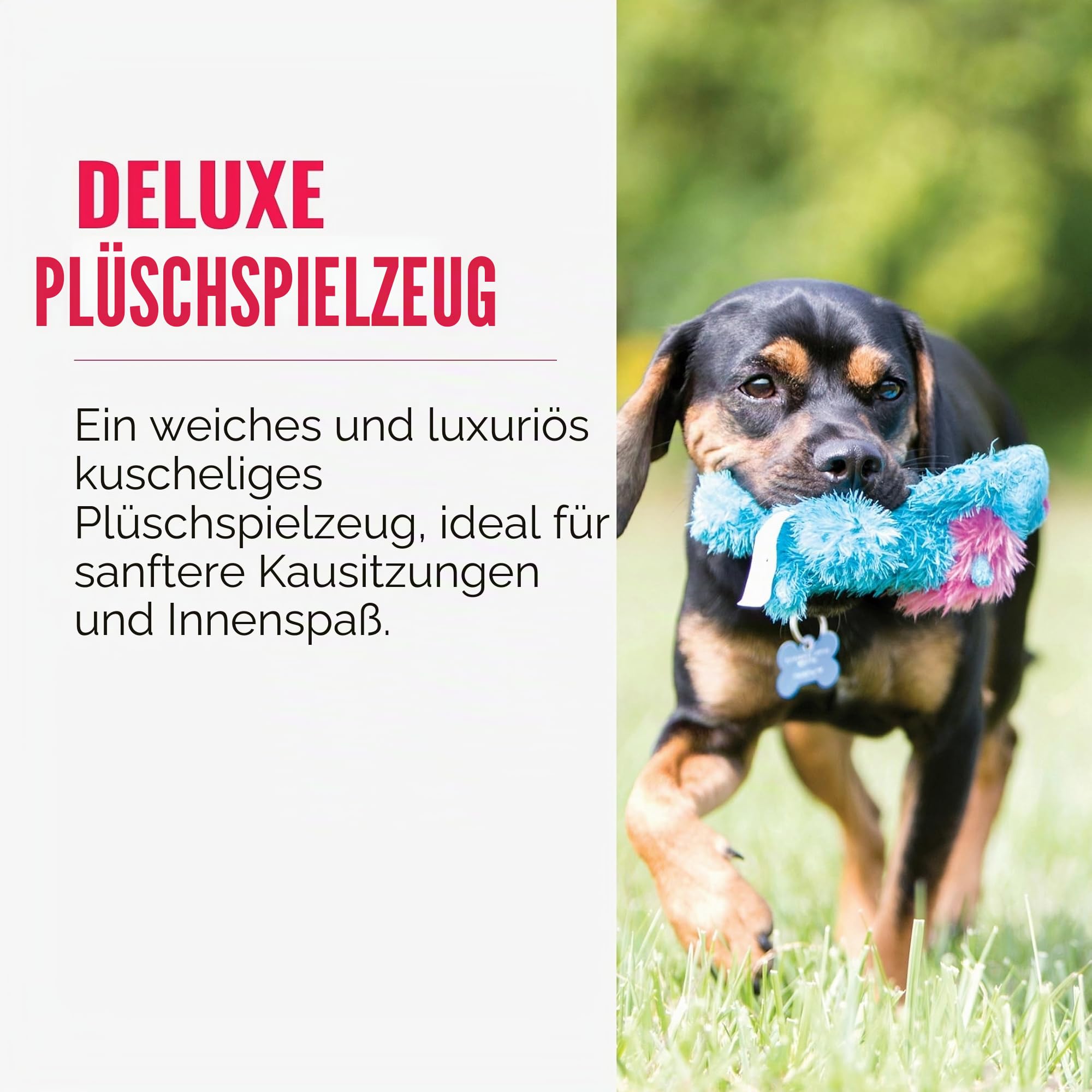KONG – Cozie Marvin Moose – Quietschendes Hundeplüschtier für Drinnen – Für Sehr Große Hunde