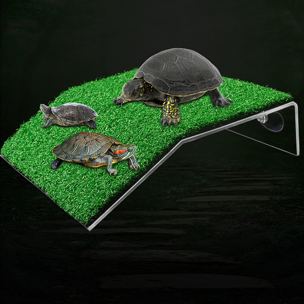 Lawn Turtle Basking Platform Turtle Resting Basking Platform, Simulazione Tartaruga Rampa per Turtle Tank, Reptile L