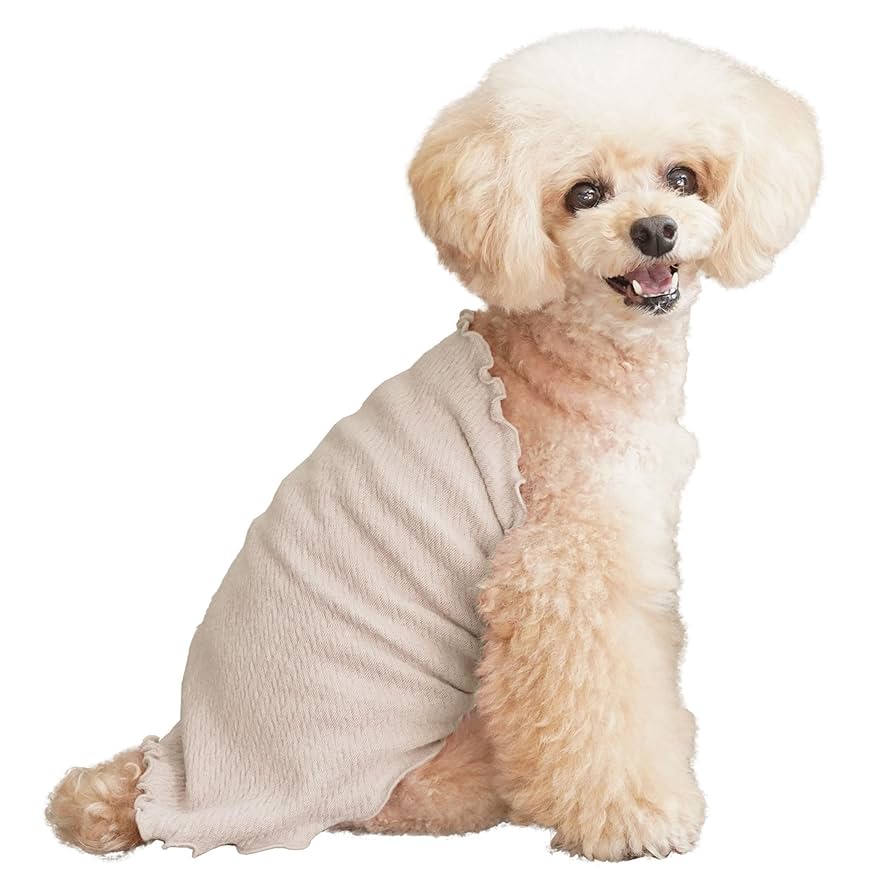 絹巻き水引パーツ 犬 m26052928032_1.jpg?1738555650