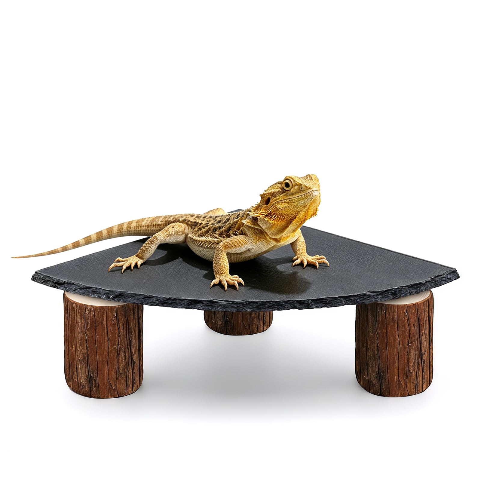 Bearded Dragon Basking Platform, 20x20cm Curved Tortoise Slate Rocks with Wooden Pile Leopard Gecko Hides Caves Reptile Tank Accessories for Geckos Turtle Lizard (Black Gray)