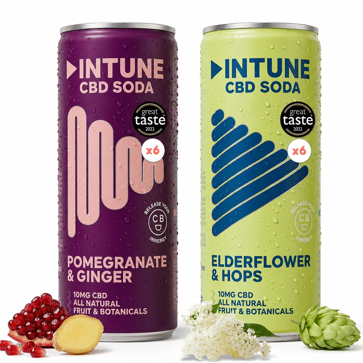 INTUNE CBD Drink Variety Pack | 2 Sparkling Fruit Flavours |Natural, Vegan, Low Calorie Drink | CBD Infused Soft Drinks | CBD Can | Pomegranate & Ginger and Elderflower & Hops | 12x250ml Cans