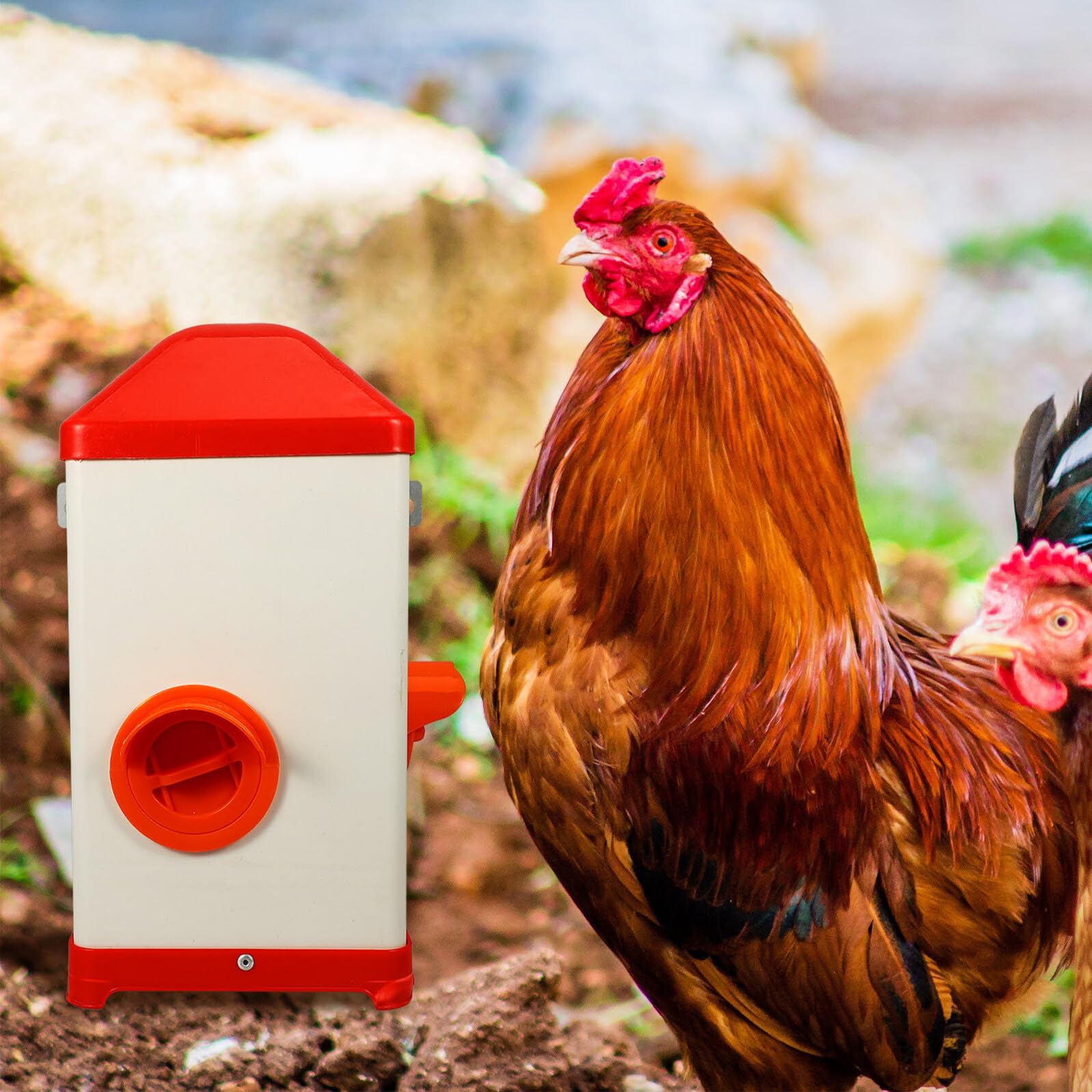 Mangeoire Poule Robuste Plastique Résistante Soleil pour Alimentation Volaille Polyvalente et Facile à Remplir