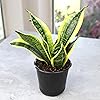 Product Photo 9