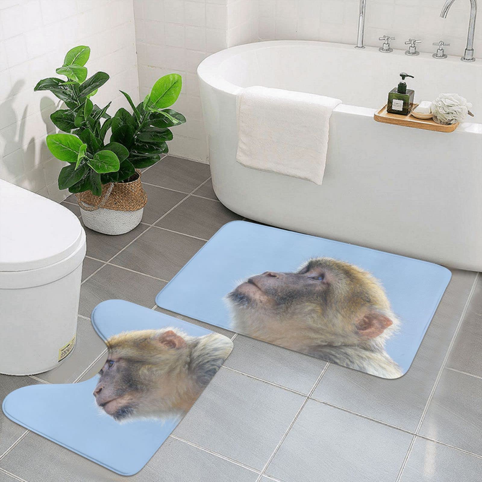 Tapis de bain antidérapants lot de 2 absorbants et lavables en machine