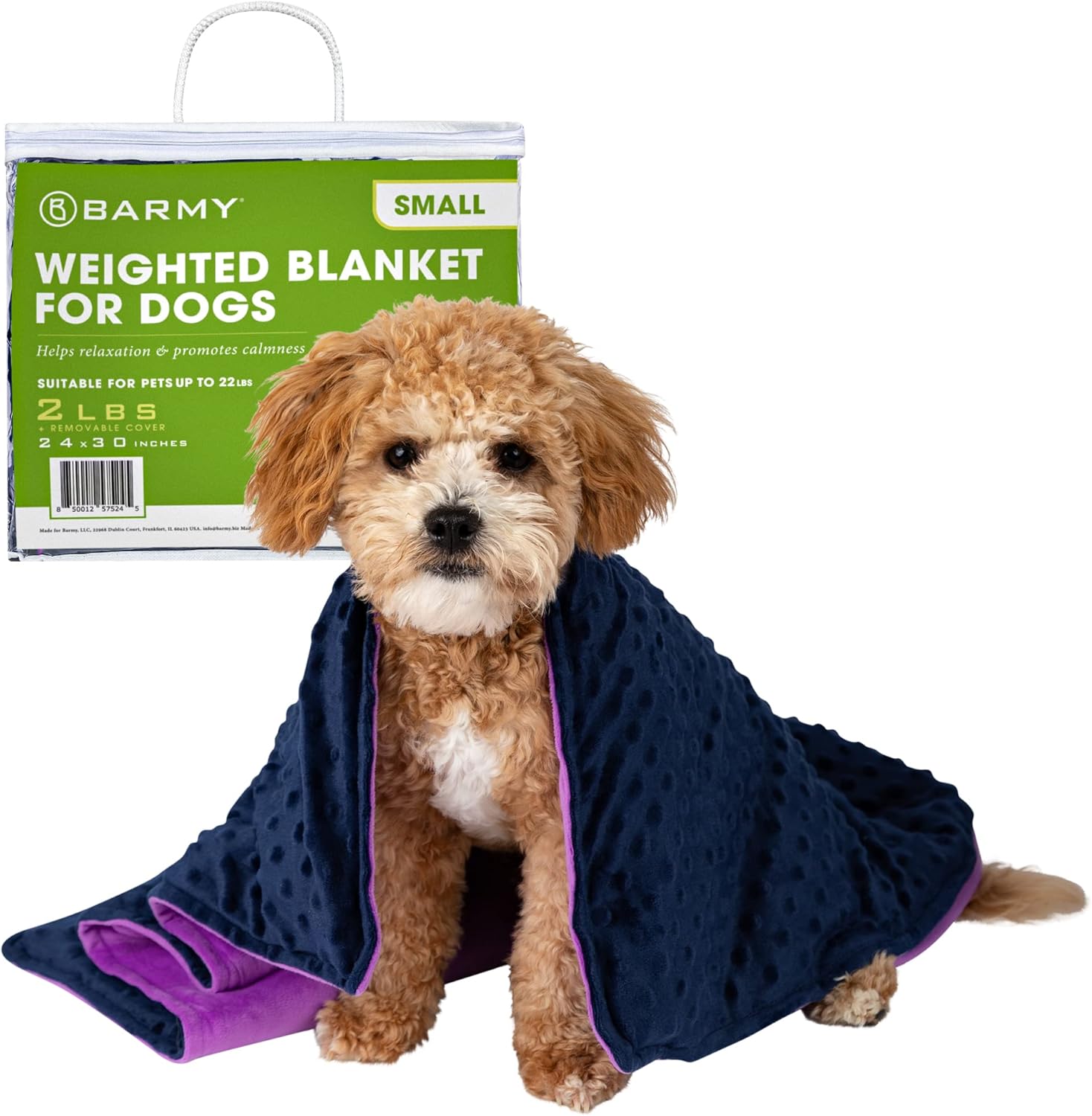 purple dog blanket