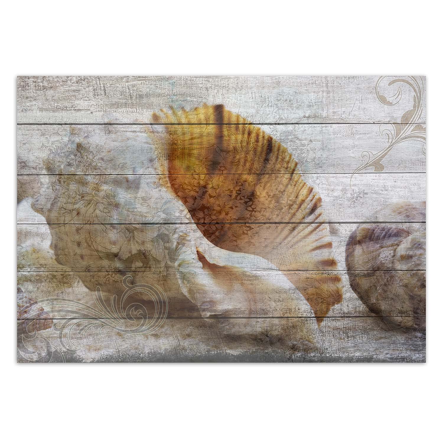 Feeby Fototapeta Flizelinowa Muszle Kwiaty 368x254 cm Beżowy Tapeta XXL Dekroacja Ścienna Sypialnia Pokój Dzienny Biuro Kuchnia Korytarz Pokój Dziecka Zdobienia Imitacja Drewna