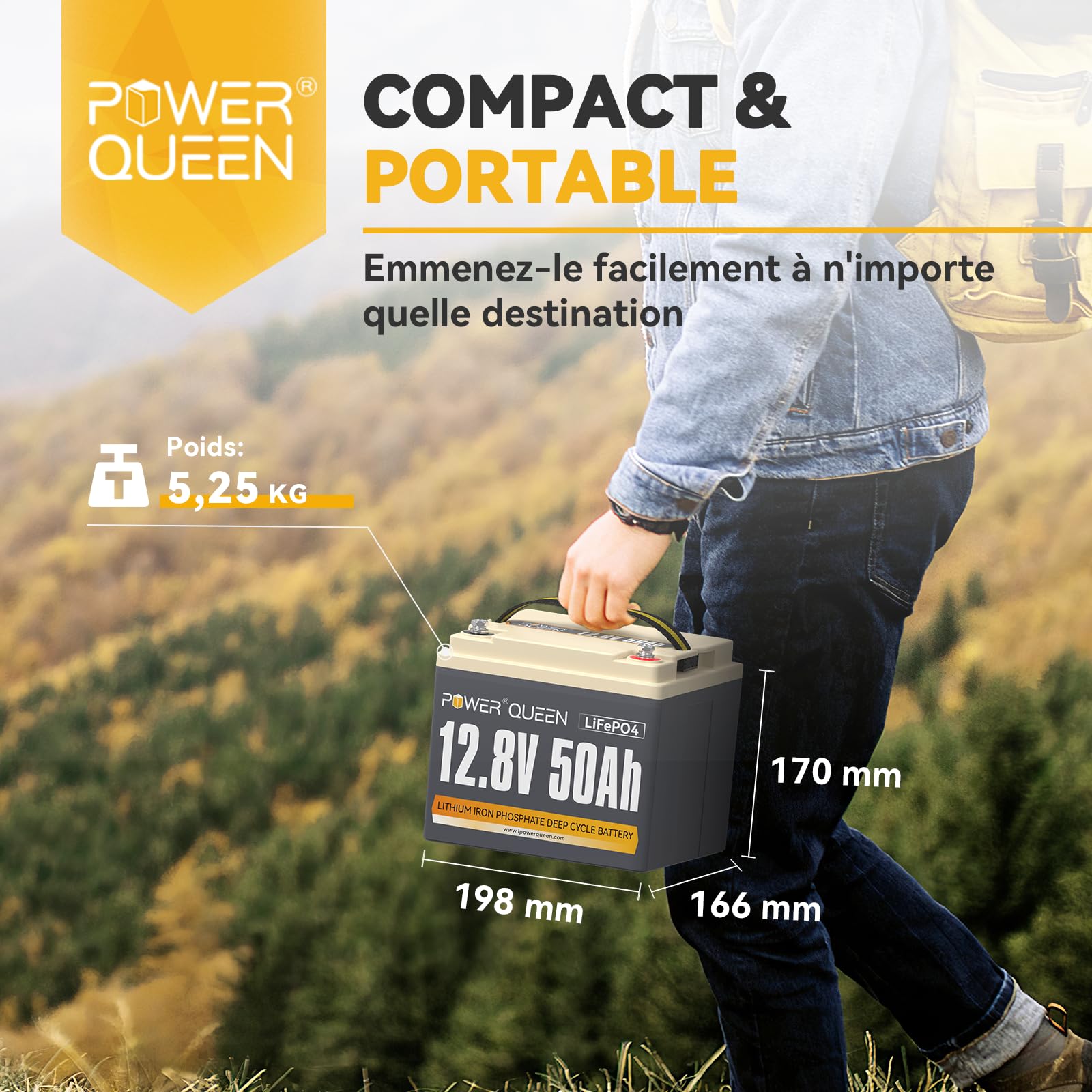 Power Queen Batterie 12V 50Ah LiFePO4(Pack de 4), Rechargeable Batterie avec 50A Protection BMS et 4000-15000 Cycles Profonds, sans Entretien Parfait pour Camping-Car, Système Solaire, E-Scootern