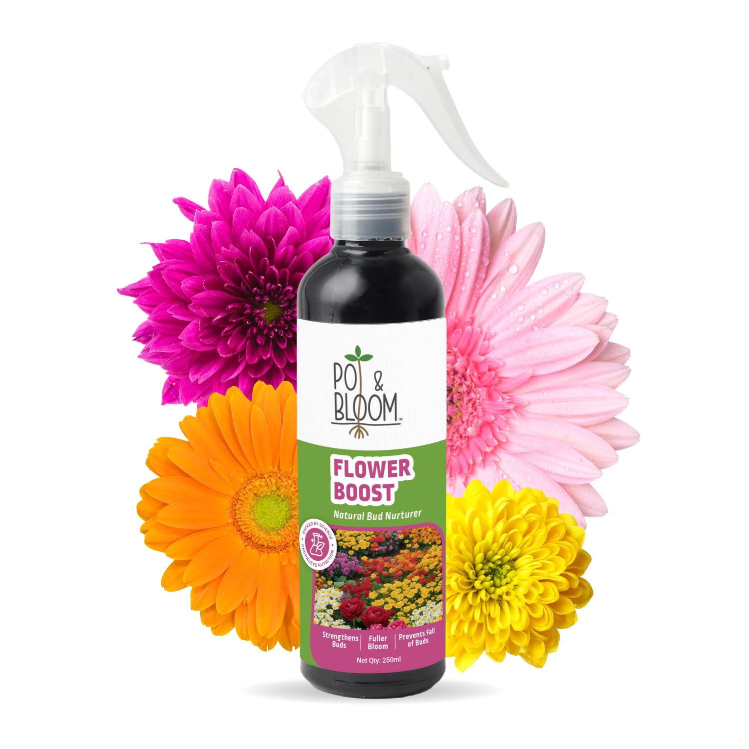 Pot and Bloom Flower Boost Spray Ready to use, special formulation to enhance & stimulate flower growth. Liquid Fertilizer for all flower varieties - 250 ml (B0CR41V9QV) Amazon Price History, Amazon Price Tracker