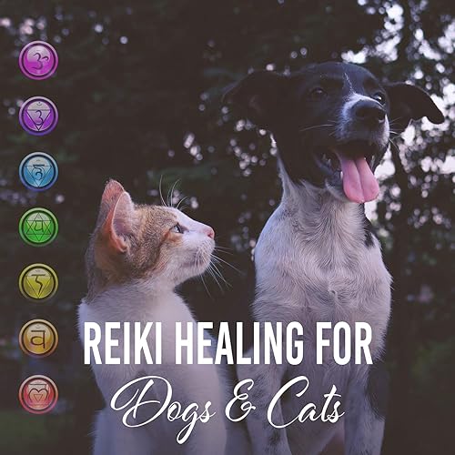 reiki music for dogs
