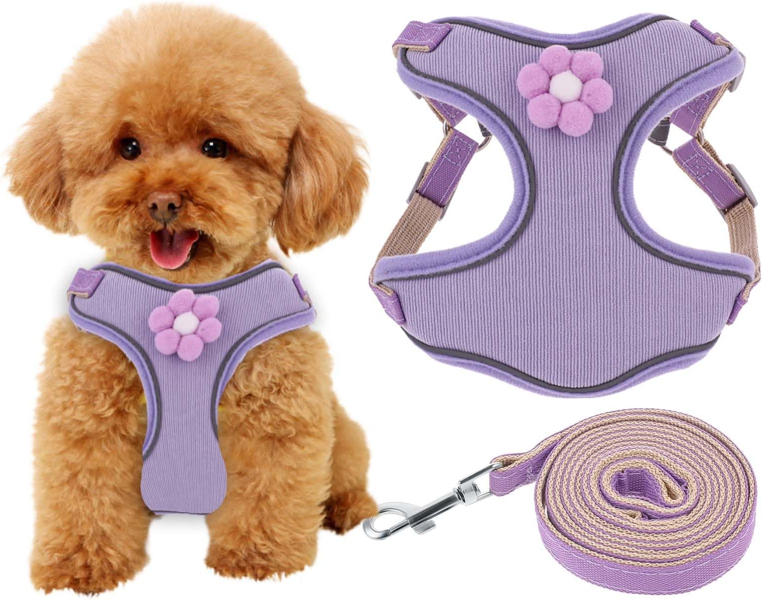 Small Dog Harness, Reflective Adjustable Puppy Vest, Step in Harness for Puppy (XS, 16-20IN)