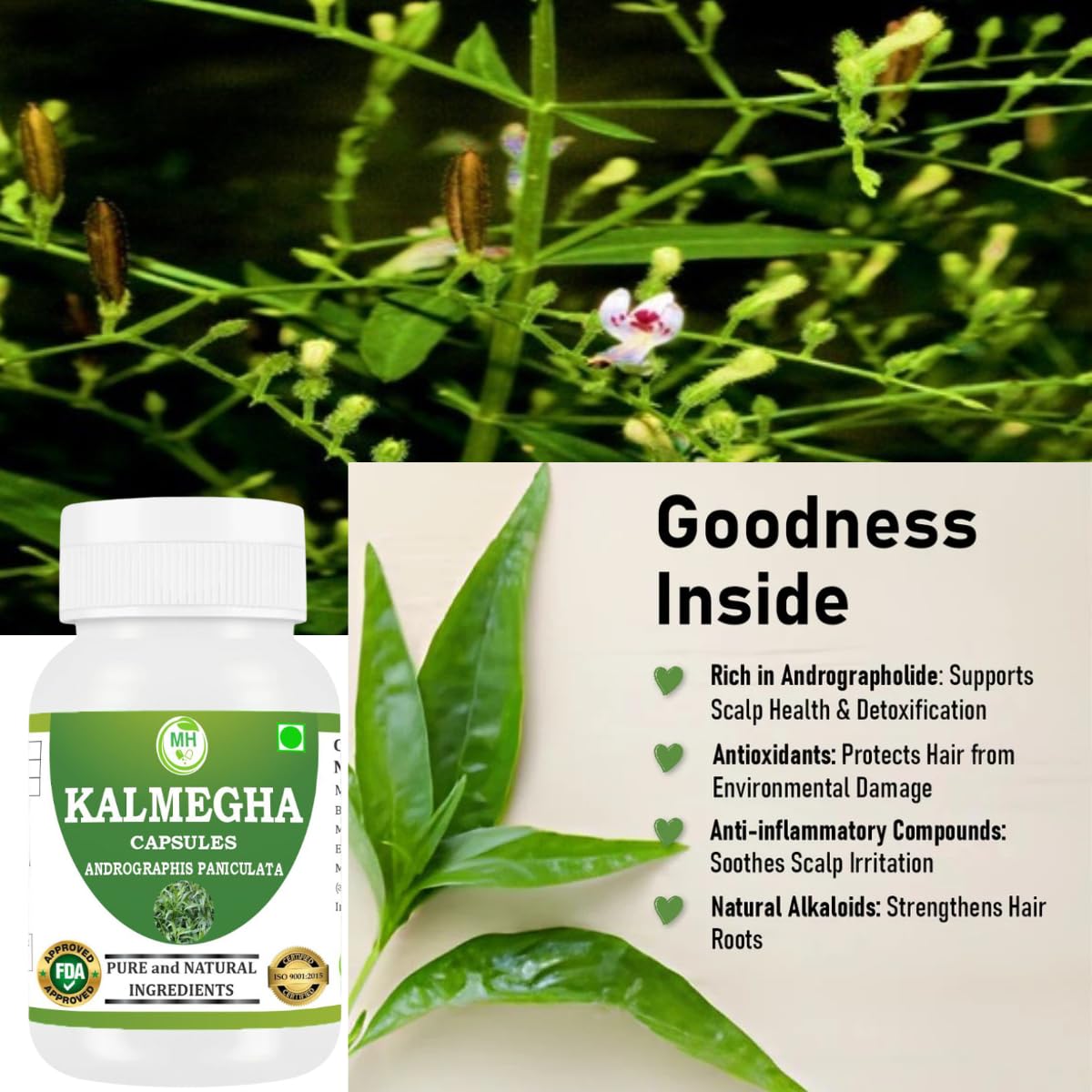 Kalmegha Capsules 500mg – 60 Count | 2 Pack | Vegetarian | Plant-Based | Herbal Supplement | No Artificial Additives | Gluten-Free | Organic (pack of 1) — Amazon image 5