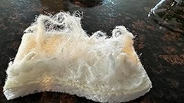 Review Image by Sandy Sun