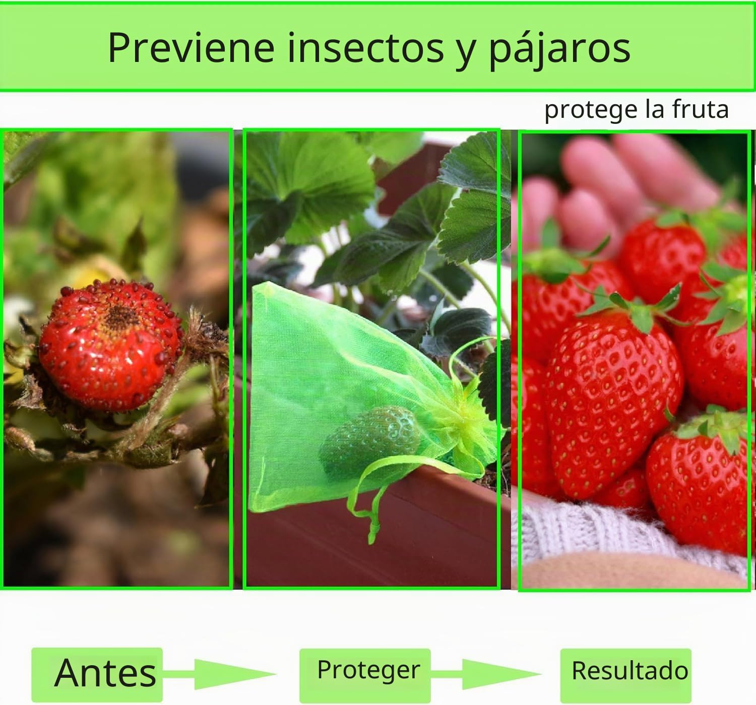 100 Piezas Bolsas para Uvas en Parra, Bolsas Uvas Proteccion 30x40cm, Malla de Protección de Frutas de Organza para Proteger Los Racimos de Uvas de Avispones y Antipajaros