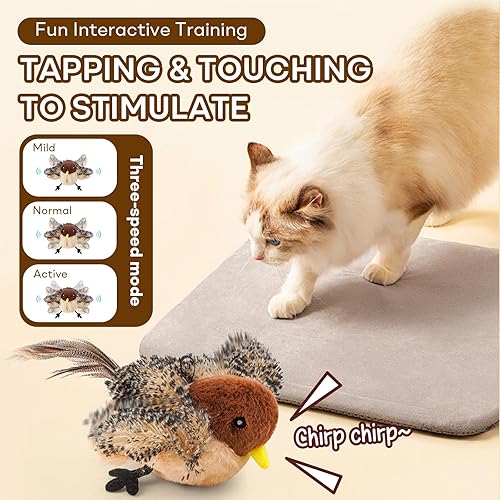 Miniatura 3 de Juguete interactivo para gatos y pájaros, juguete automático recargable con sonido real de pájaro y cola de plumas, juguete de hierba gatera para