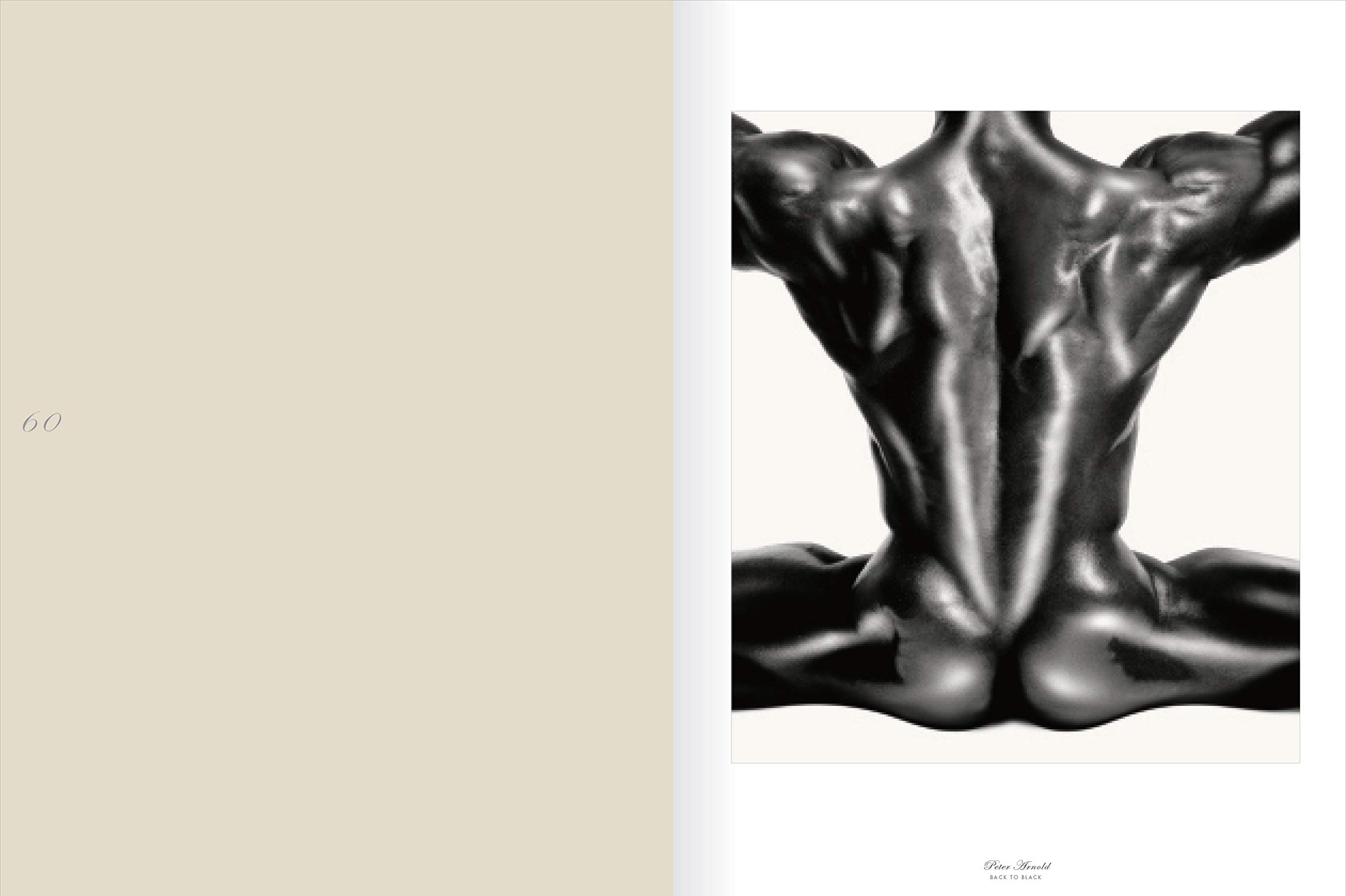 Graphis Nudes 5: Hardcover