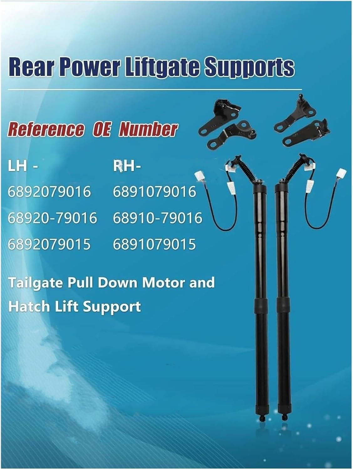 テールゲートリフターの昇降板上のキャスタストッパの選択（連動か個別か）