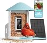 NETVUE by Birdfy Smart Bird Feeder  thumbnail 1