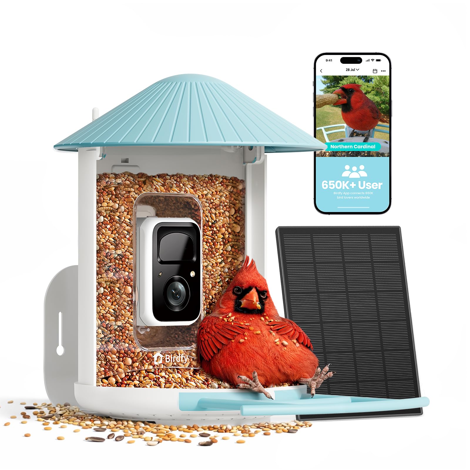 Birdfy 2K HD Feeder