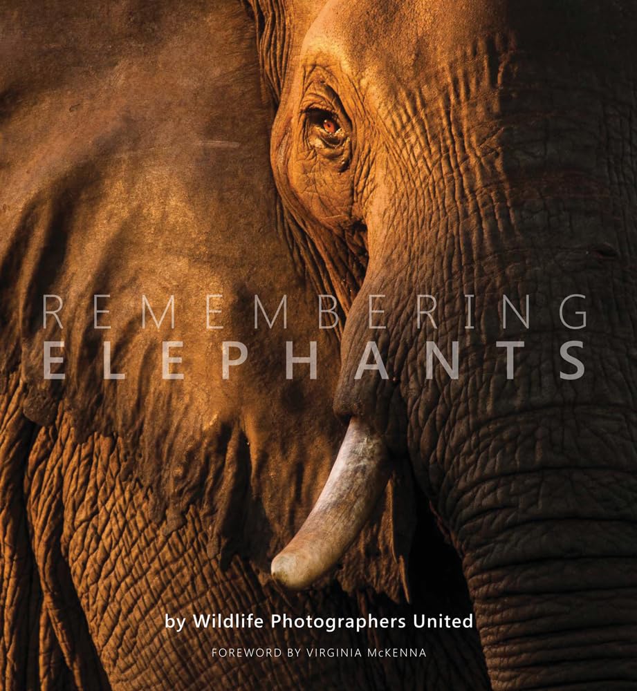 Remembering Elephants: 1 (Remembering Wildlife). Raggett 9781999643348 New**