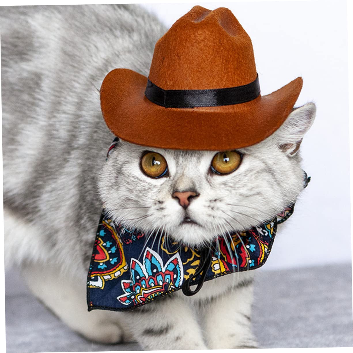 Happyyami 4piezas Sombrero De Gato y Perro con Bandana De Gorro Cómodo y Elegante para Mascotas Diseño Delicado para Fiestas y Eventos
