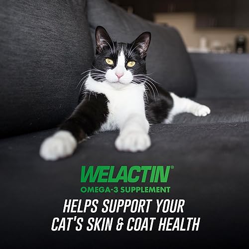 Miniatura 2 de Nutramax Welactin Omega-3 - Suplemento líquido para la salud de la piel y el pelaje para gatos, 4 onzas